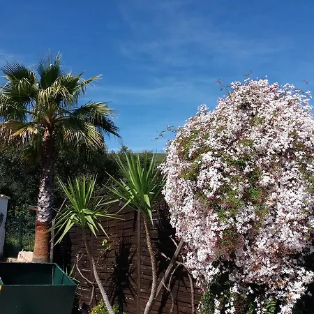 Holiday home Casa No Chupal