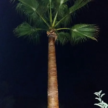 Casa No Chupal Sao Bras de Alportel